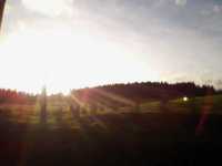 pochette album D'un sourire