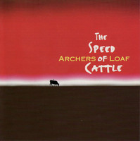 pochette album South carolina