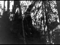 pochette album Kamps tekn