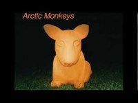 pochette album Free salute