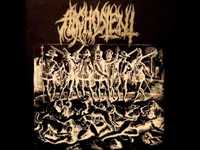 pochette album The nexxus of chaos