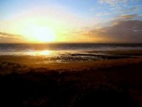 pochette album The longest day of my life