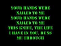 pochette album The new in bloom