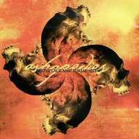 pochette album A distant memory