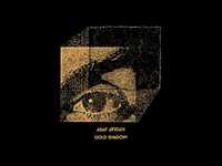 pochette album Gold shadow