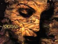 pochette album The burn