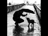 pochette album I can't wait a lifetime