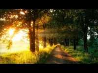 pochette album That season