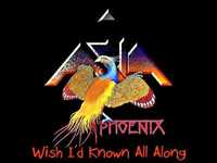 pochette album Wish i'd known all along