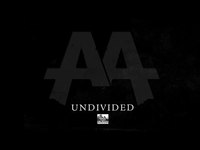 pochette album Undivided
