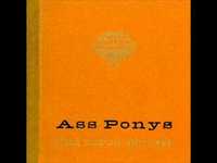 pochette album Dead fly the birds