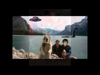 pochette album Shoe money