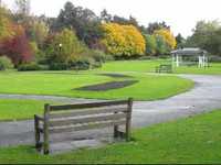 pochette album Everything that touches you