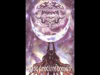 pochette album A song of the night birds