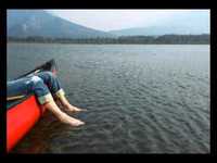 pochette album Let it go