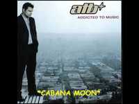 pochette album Cabana moon