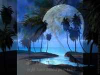 pochette album Without your love