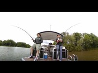 pochette album Fishing blues