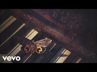 pochette album Black water lilies