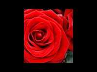 pochette album Behind the walls of her desire