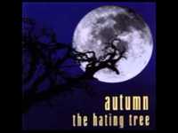 pochette album Suffer the wild dogs