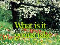 pochette album Fly to you