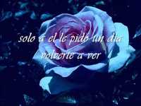 pochette album Abuelita