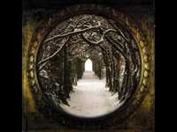 pochette album Shade of my heart