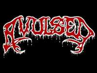 pochette album Morgue defilement