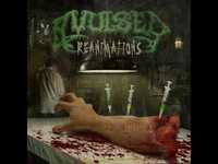 pochette album Unconscious pleasure