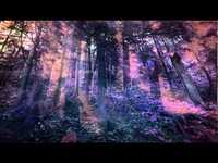 pochette album Through the scarlet forever