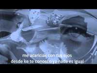 pochette album Se dice amor