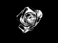 pochette album Age of shadows (incl we are forever)