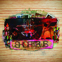 pochette album If you fall