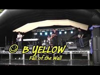 pochette album Fall of the wall