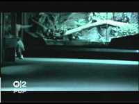 pochette album You're my angel