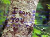 pochette album Distante de voce