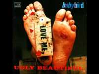 pochette album Babybird