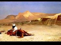 pochette album Free wheelin'