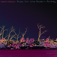 pochette album Heed the flashes