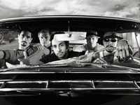 pochette album Forces of nature