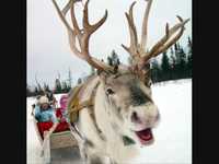 pochette album Donna & blitzen