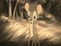 pochette album Bittersweet