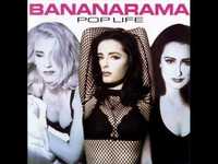 pochette album Ain't no cure