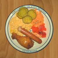 pochette album The great salt lake