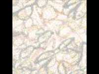 pochette album Disney medley