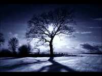 pochette album Until it's time for you to go