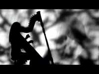 pochette album Half crazy