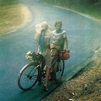 pochette album A forest