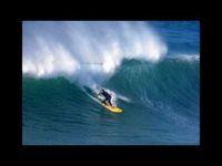 pochette album All summer long